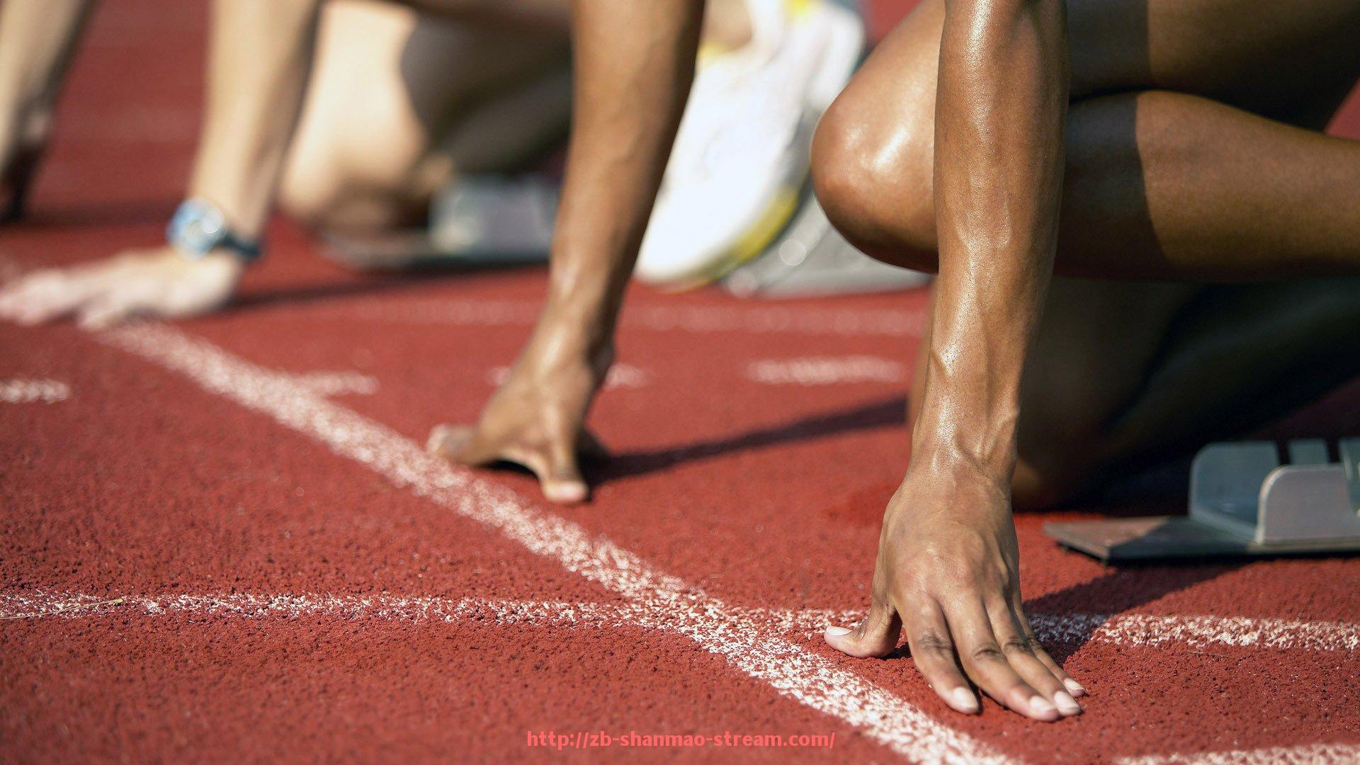 山猫直播官网-健身器材助力背部线条塑造的实用技巧及训练方案